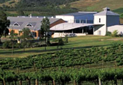 Winery Tours valley in Australia